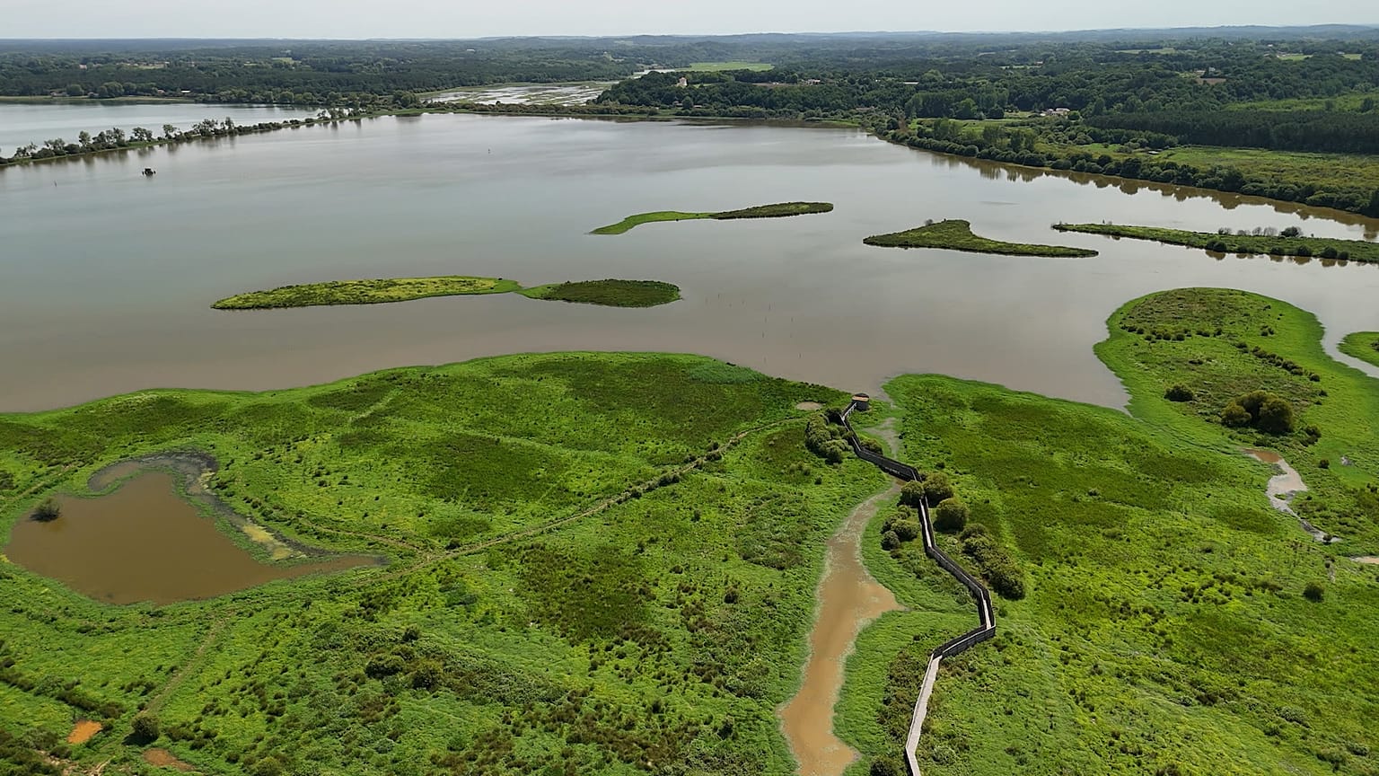 Why did Napoleon drain the Marais d'Orx?