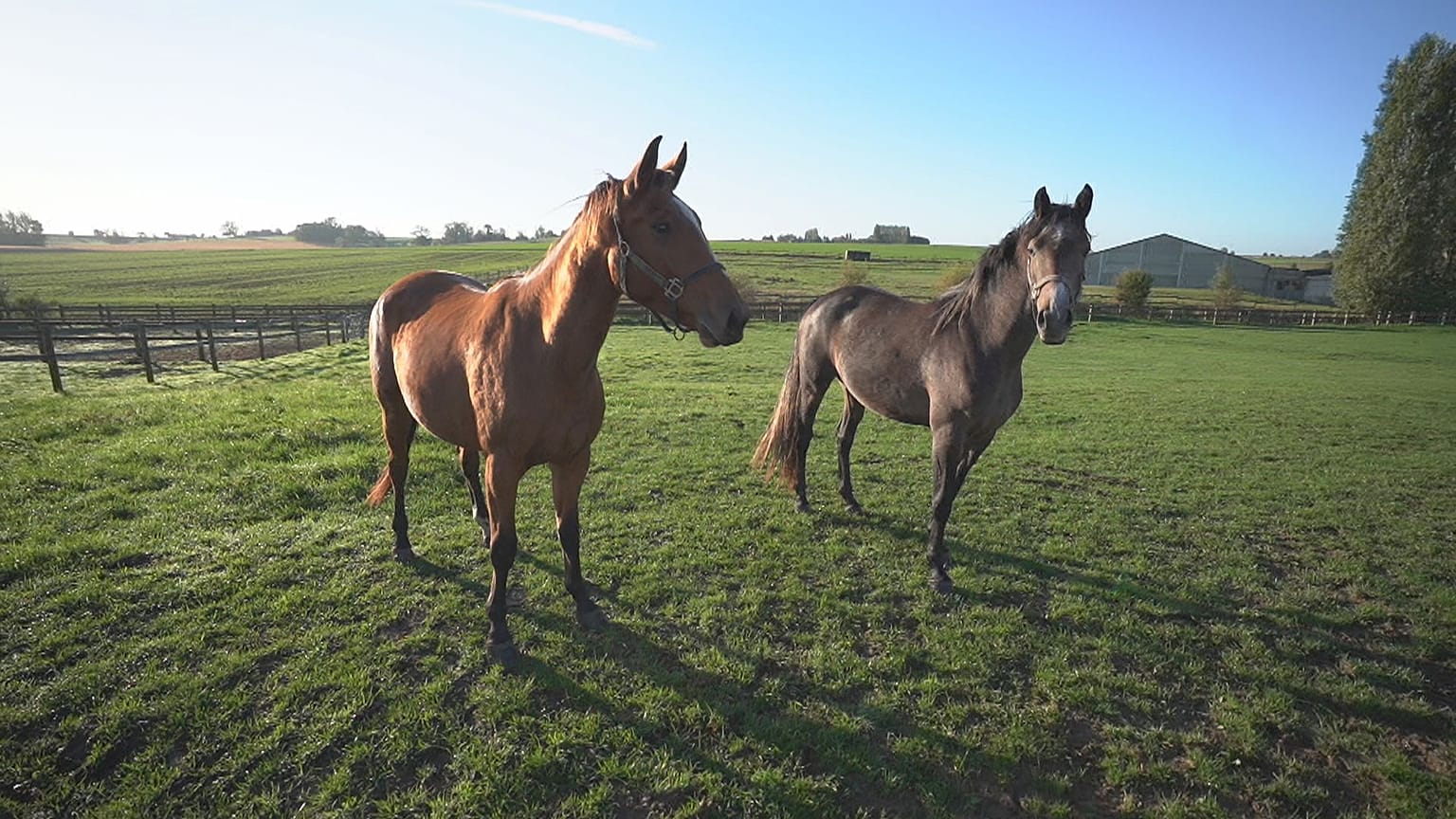 The entrepreneurial exchange that builds business success