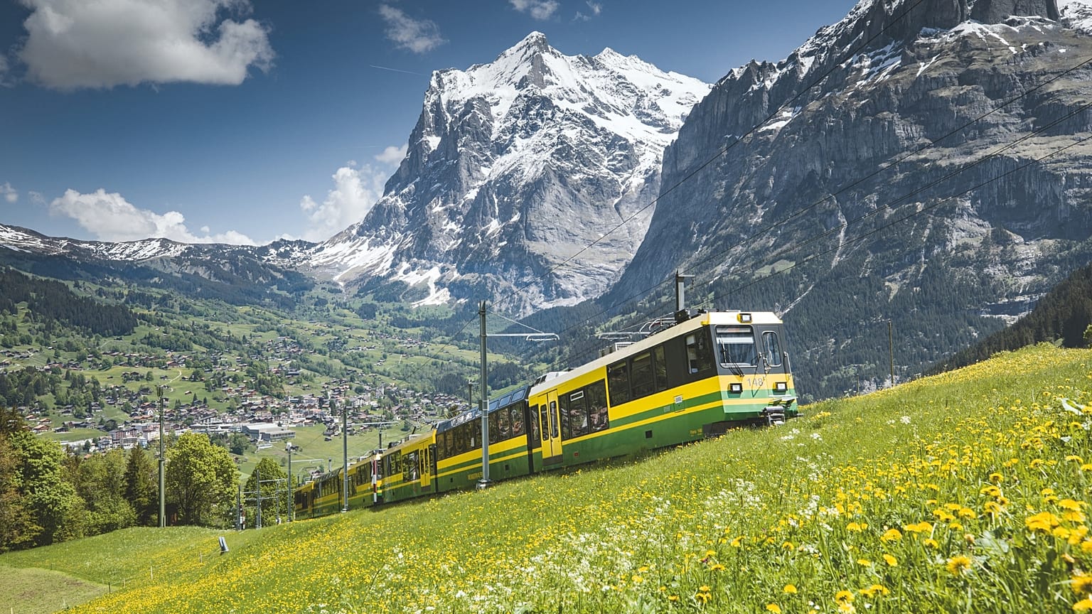 Take a guided rail tour to experience the best of Switzerland.