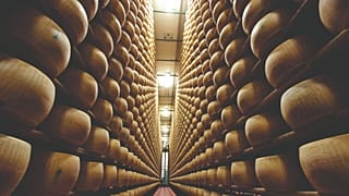 Ageing rooms, often referred to as “cheese cathedrals”, are aisles of shelves running from floor to ceiling. 
