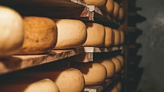 Traditional cheese ageing on a shelf.