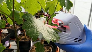 Growing Resilience: How French biotech helps crops save water worldwide