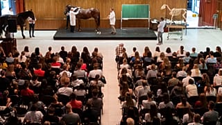 Dr Peter Sotonyi, rector of the University of Veterinary Medicine in Budapest, Hungary, gives an anatomy lecture for first-year students.